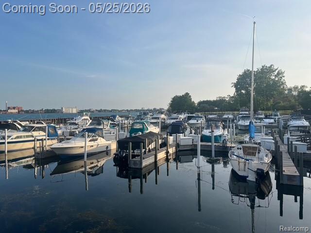 230 Main Sail Court, Detroit, MI 48207 — Photo 19