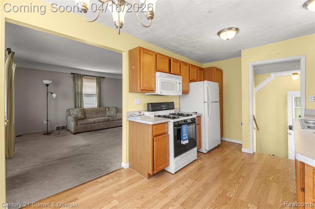 866 Clinton Street, Wyandotte, MI 48192 — Photo 13