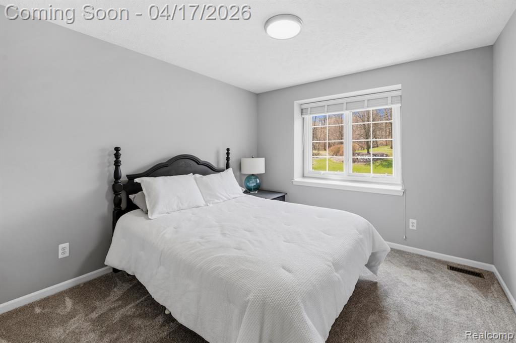 385 Tortoise Drive, Howell, MI 48843 — Photo 21