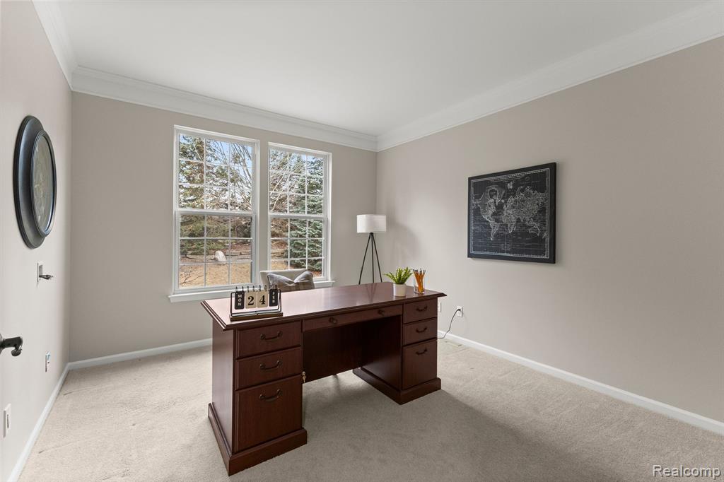 49102 FREESTONE Drive, Northville, MI 48168 — Photo 11