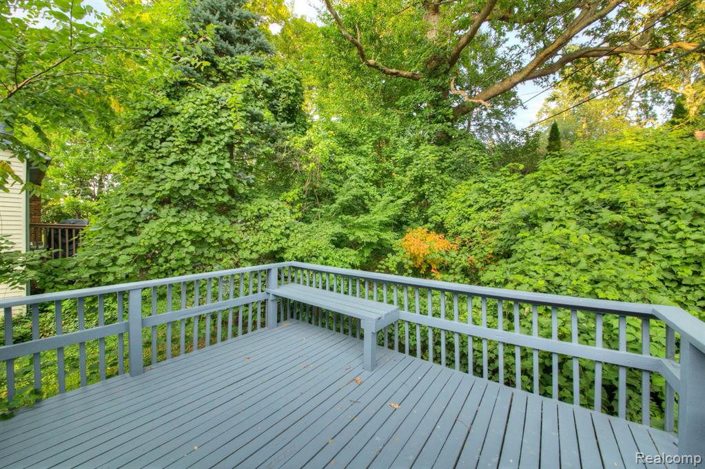 5221 VAN WINKLE Street, Brighton, MI 48116 — Photo 34