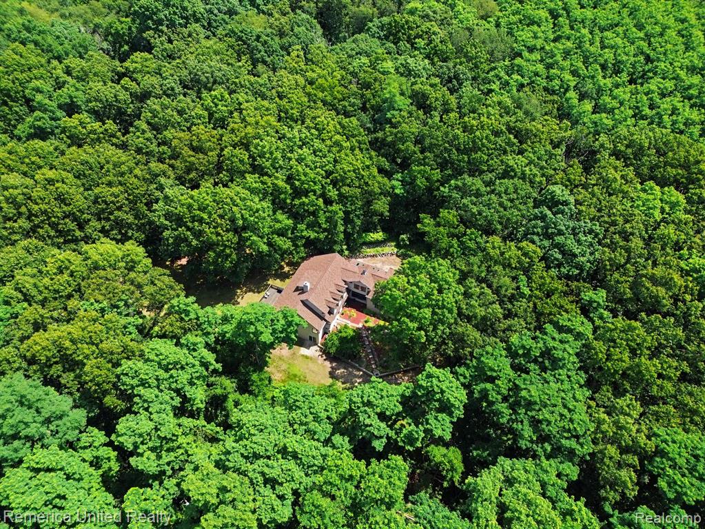 20962 Wasson Road, Gregory, MI 48137 — Photo 39