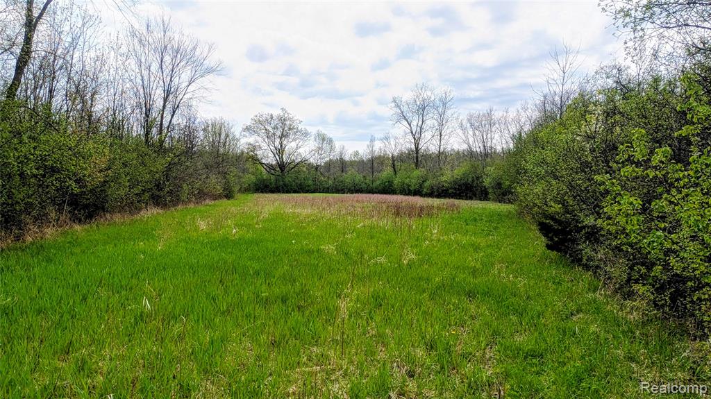 44043 Tyler Road, Belleville, MI 48111 — Photo 8