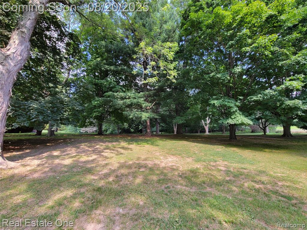 2685 Henesey Road, Imlay City, MI 48444 — Photo 14