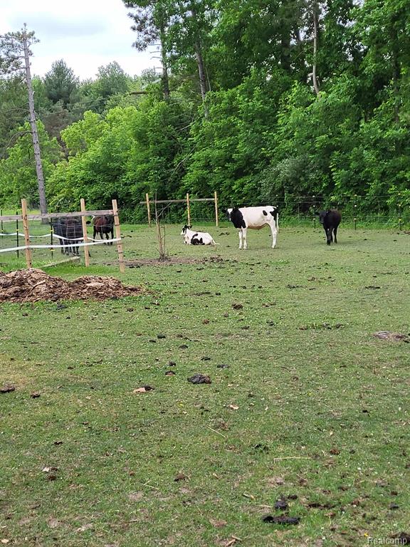 3490 Levalley Road, Columbiaville, MI 48421 — Photo 33