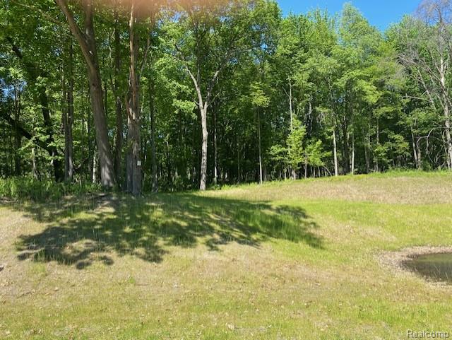 Lot 5 Dollar Ridge Lane, South Lyon, MI 48178 — front exterior