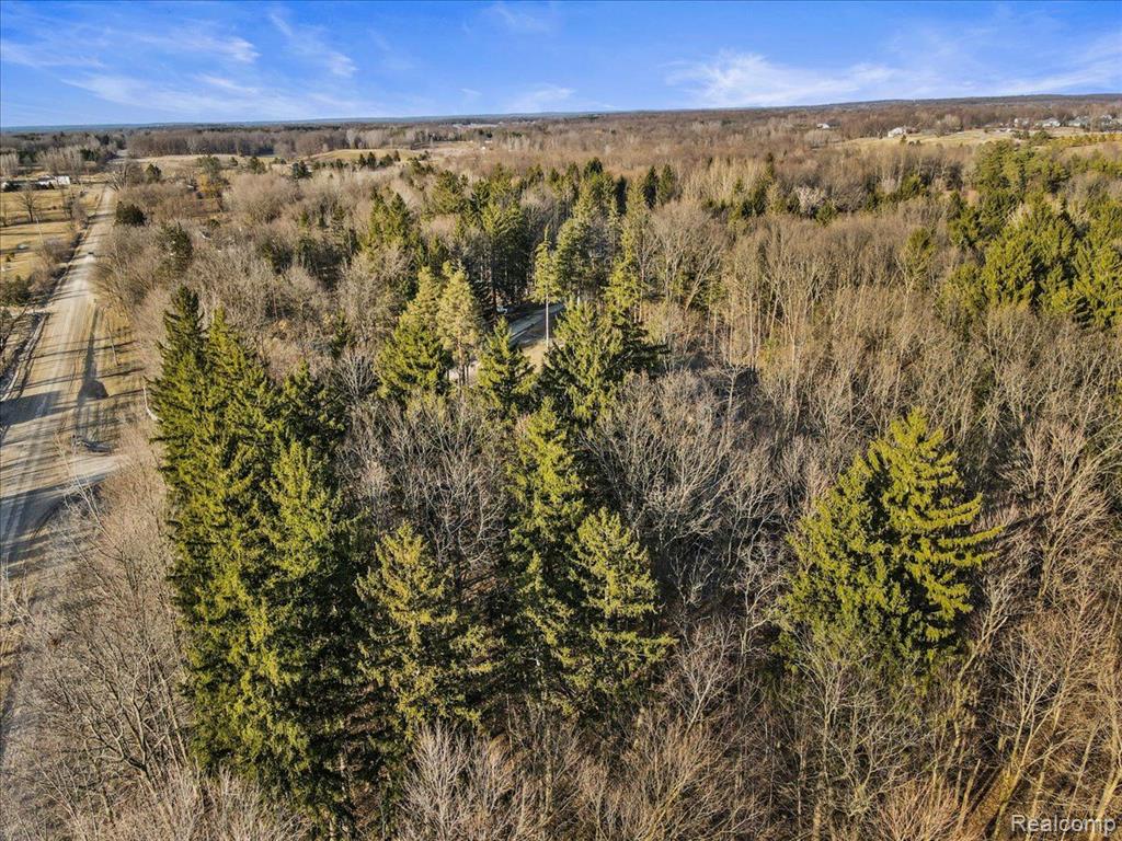 2995 Secluded Pines, Oxford, MI 48371 — Photo 8