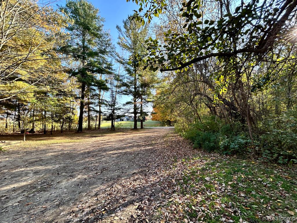 6765 WAGNER Road, Imlay City, MI 48444 — Photo 2