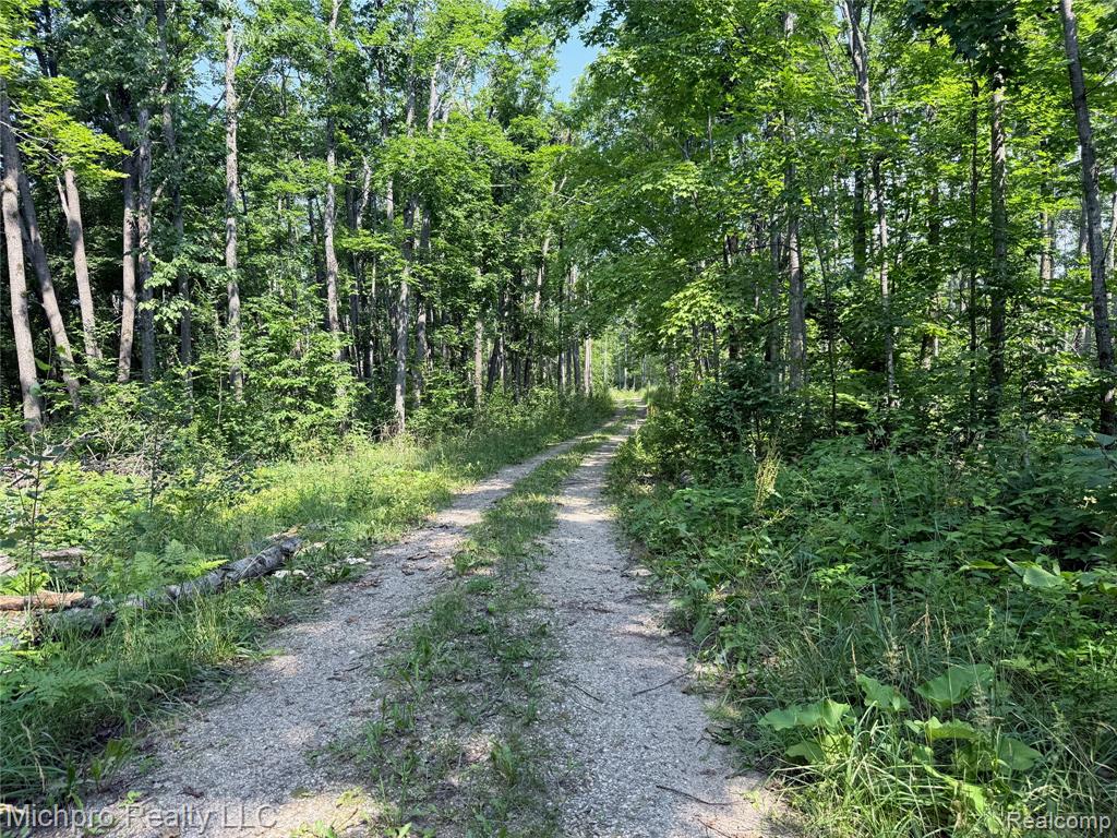 VL McKee Road, Johannesburg, MI 49751