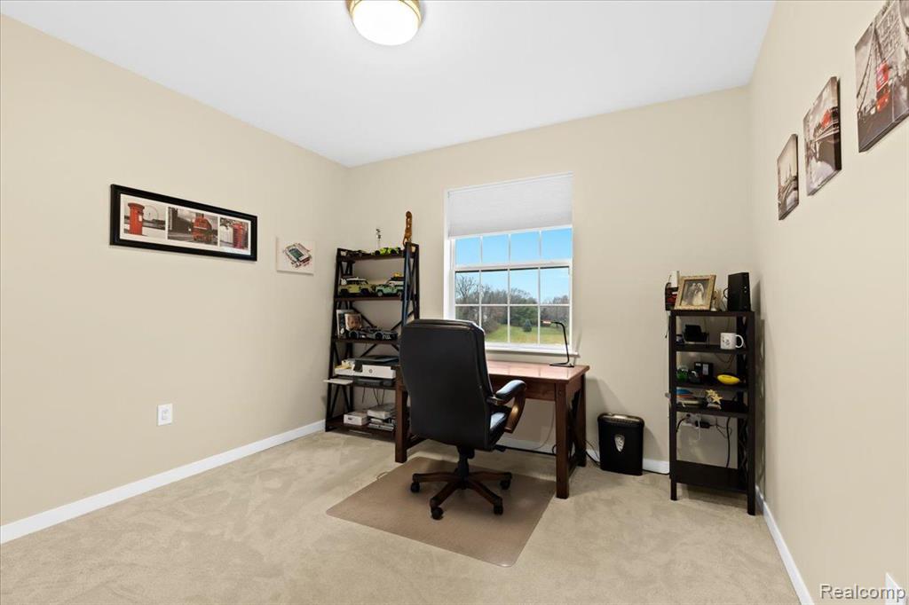 4377 BOOTJACK Trail, Howell, MI 48843 — Photo 19