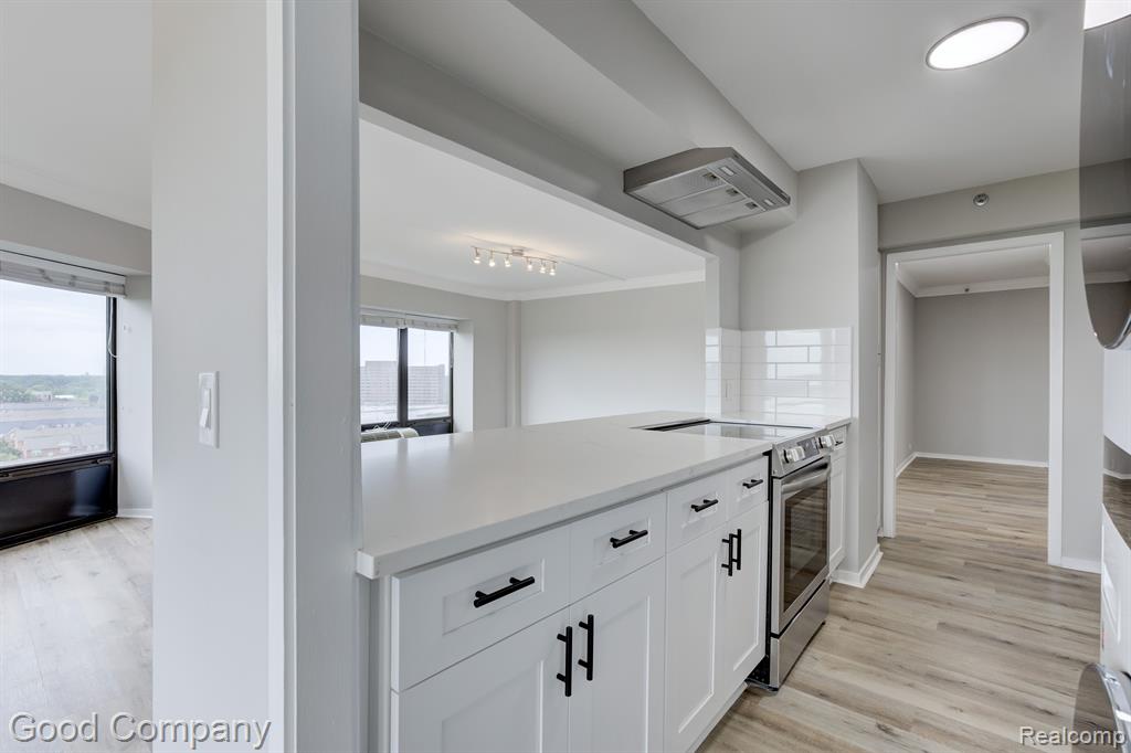 5000 TOWN Center, 1104, Southfield, MI 48075 — Photo 20