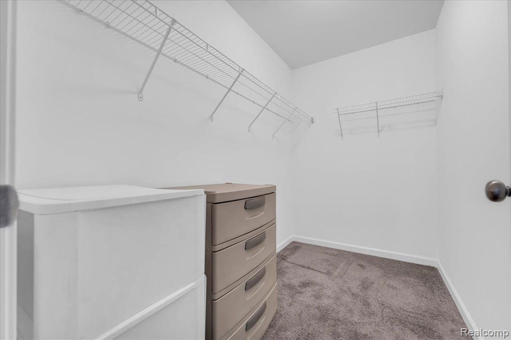 9556 NATURE VIEW Lane, Ypsilanti, MI 48197 — Photo 28