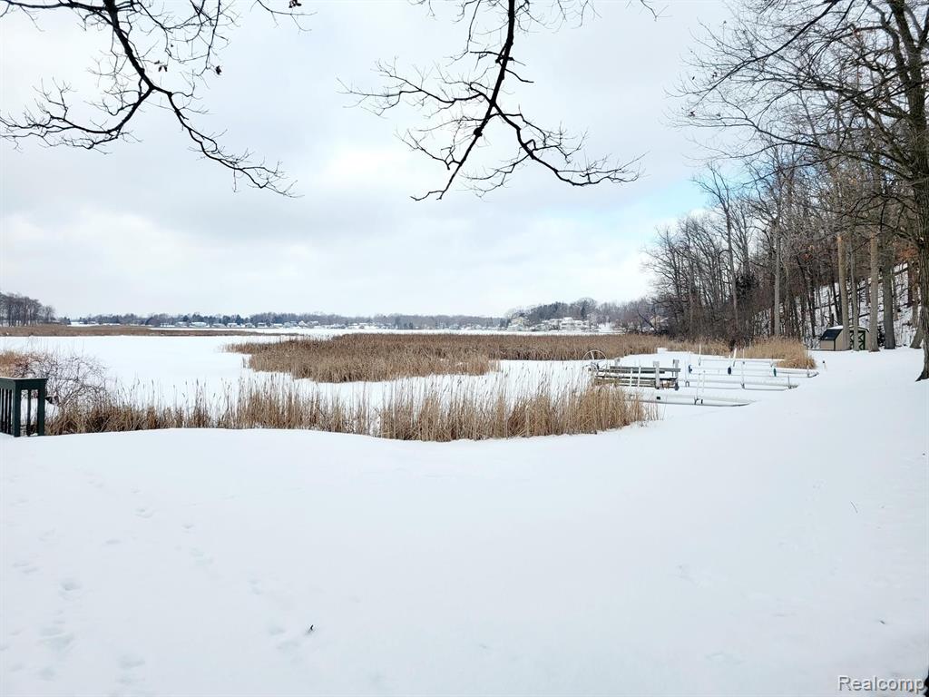 11616 Heron Bay Drive, Fenton, MI 48430 — Photo 22