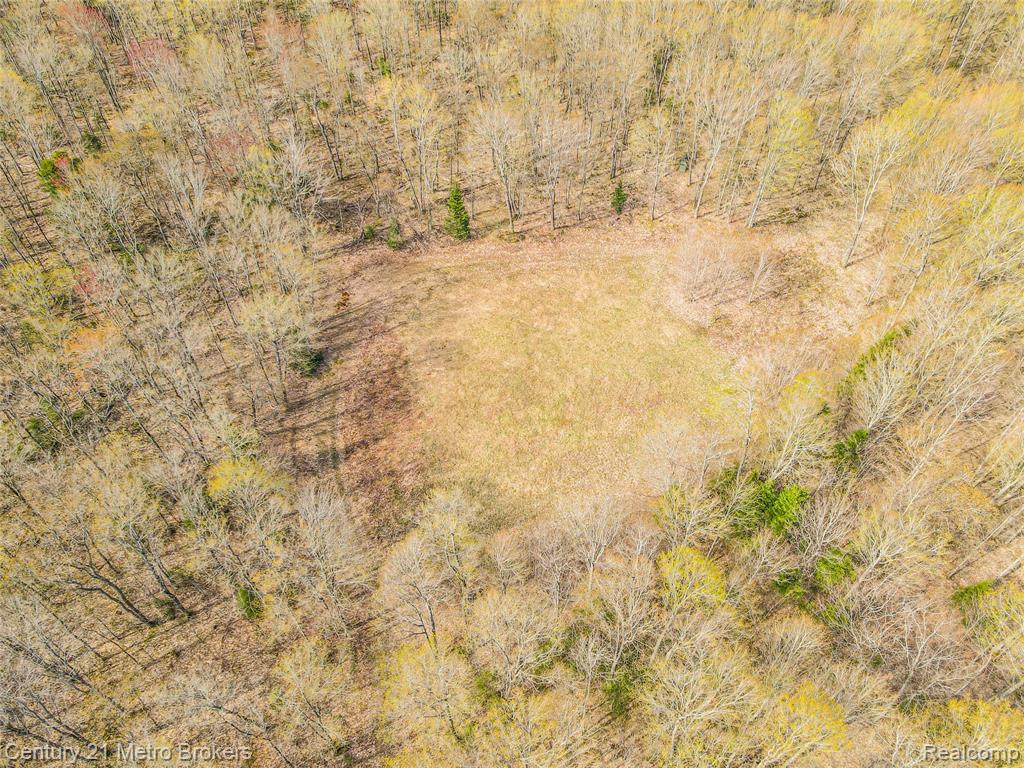 21821 Krenkel, Newberry, MI 49868 — Photo 22