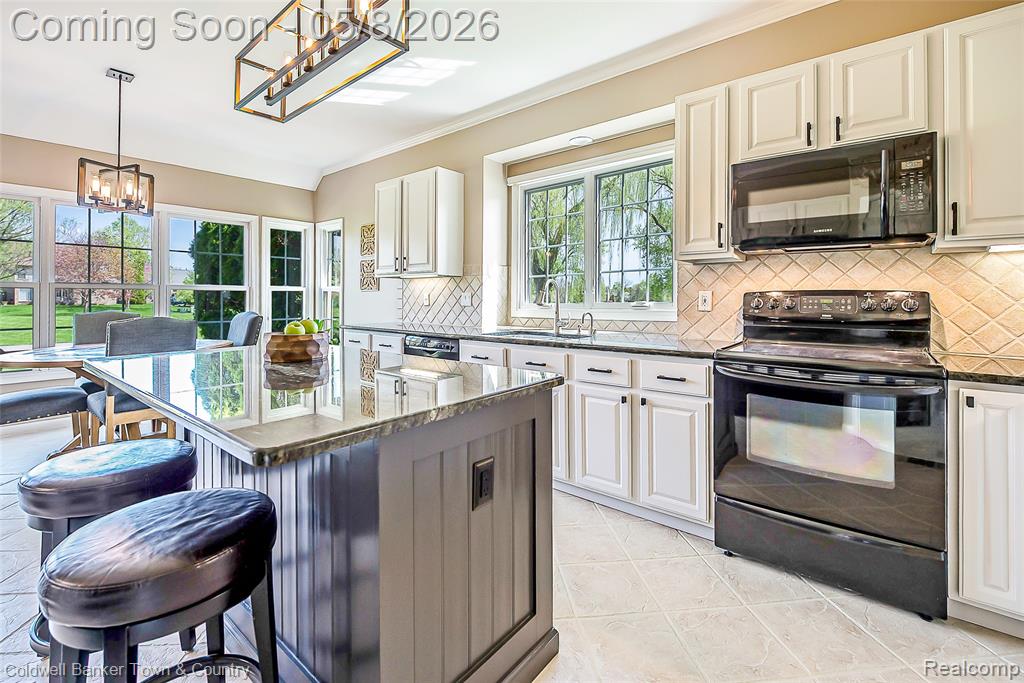 47920 Picadilly Court, Canton, MI 48187 — Photo 10