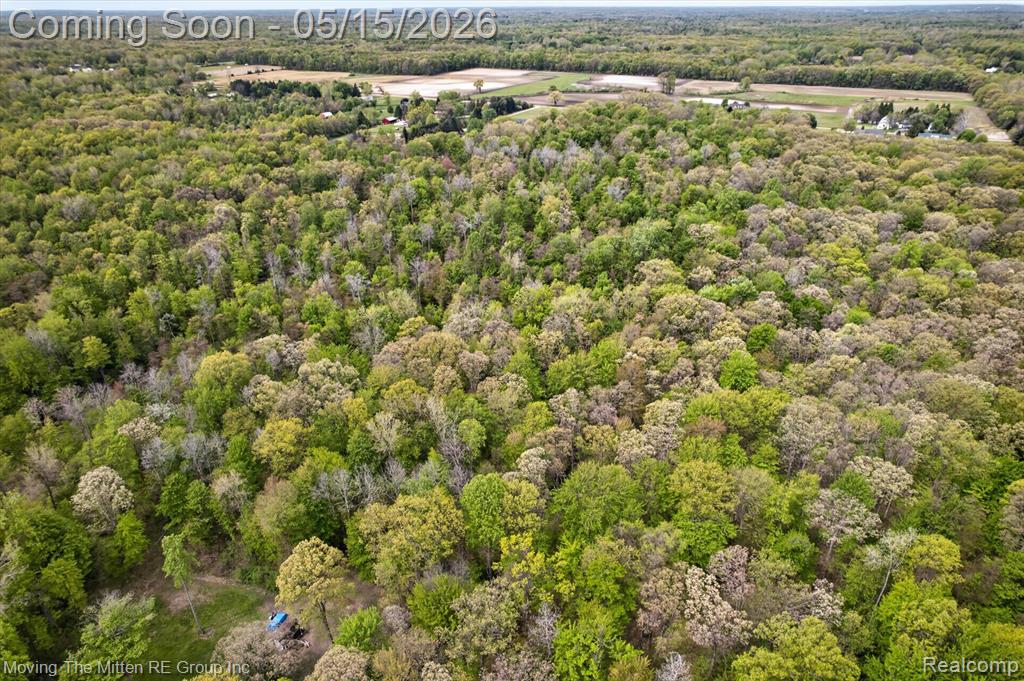 22530 Bohn Road, Belleville, MI 48111 — Photo 26