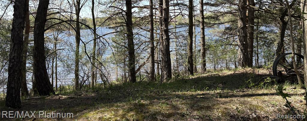 Parcel 3 Pineway Trail, Howell, MI 48855 — Photo 3
