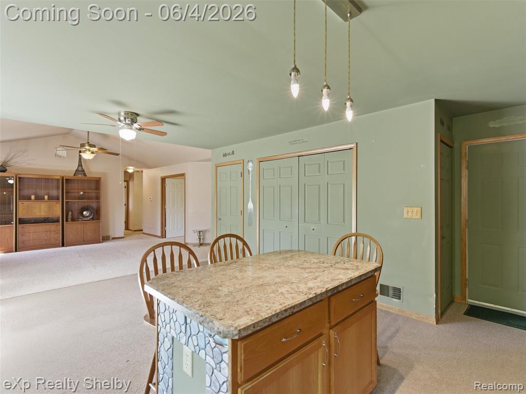 4154 Union, Dryden, MI 48428 — Photo 8