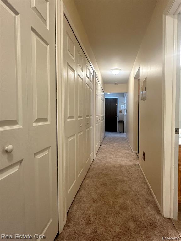 1748 HARRISON Avenue, D-1, Trenton, MI 48183 — Photo 12