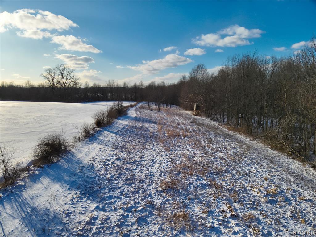 v/l W Us-12 Highway, Manchester, MI 48158 — Photo 12