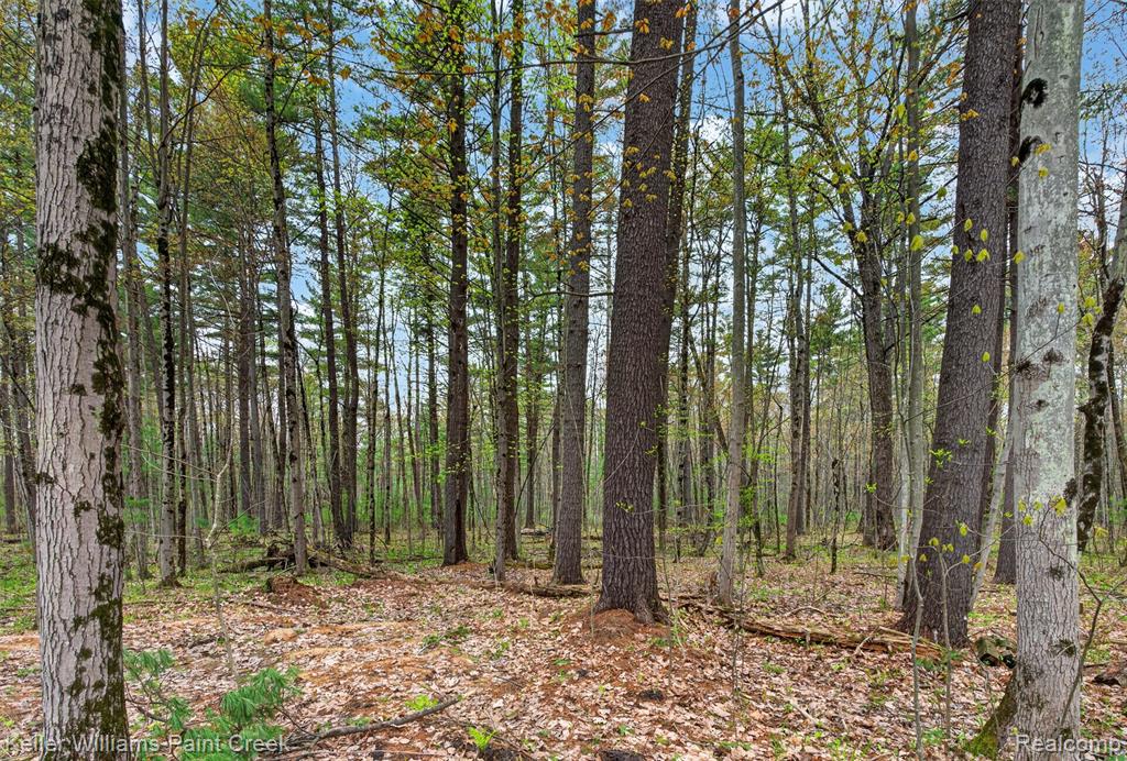 v/l E Pinecrest Drive, Gladwin, MI 48624 — Photo 9