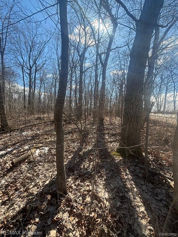 V/L HARTLAND ROAD, Fenton, MI 48430 — Photo 6