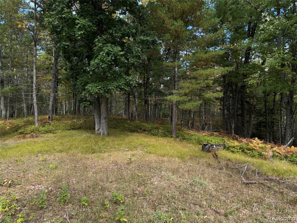 9246 Outing Place, Grayling, MI 49738 — Photo 37