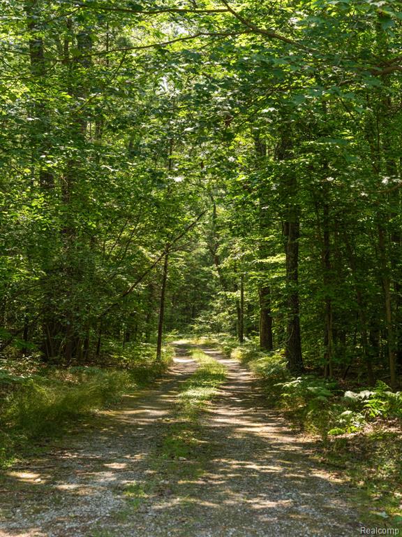5070 Duck Lake Road, Whitehall, MI 49461 — Photo 5