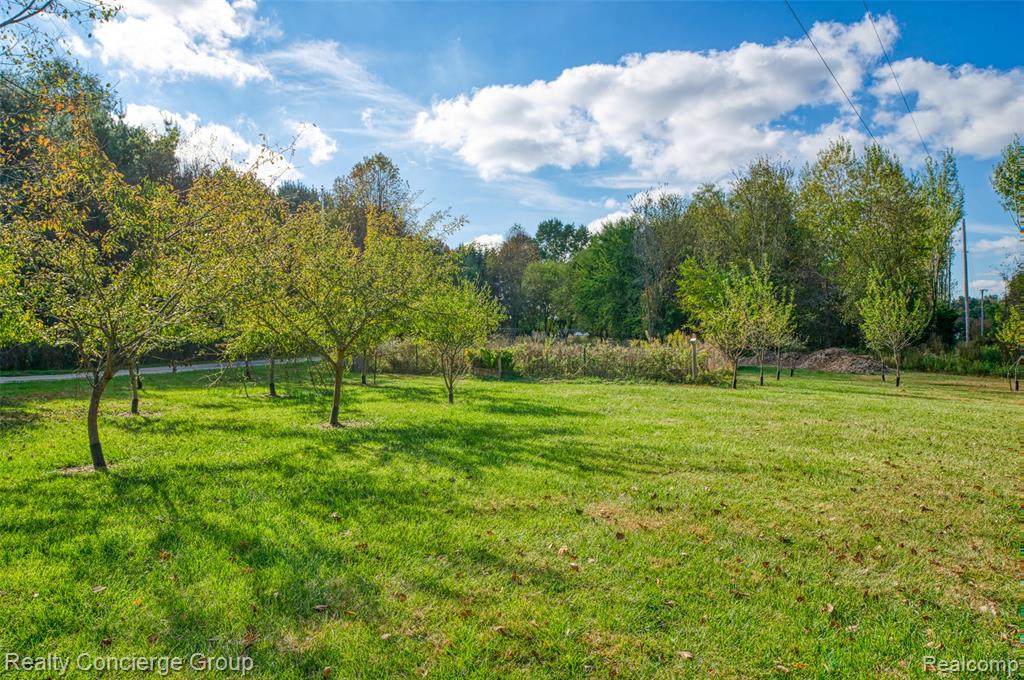 16013 Bird Road, Linden, MI 48451 — Photo 31
