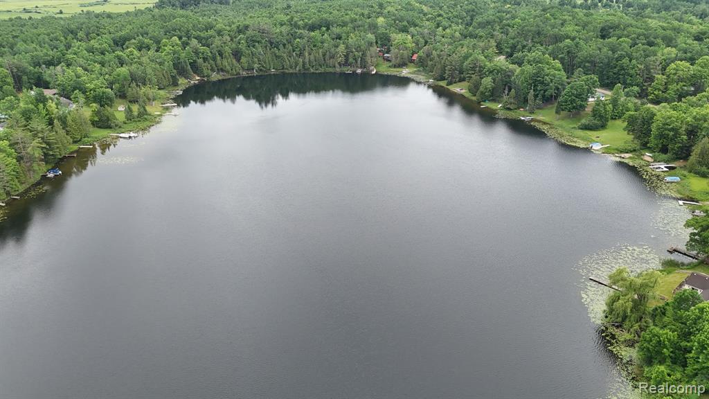 3410 Algonquin Trail, Glennie, MI 48737 — Photo 45