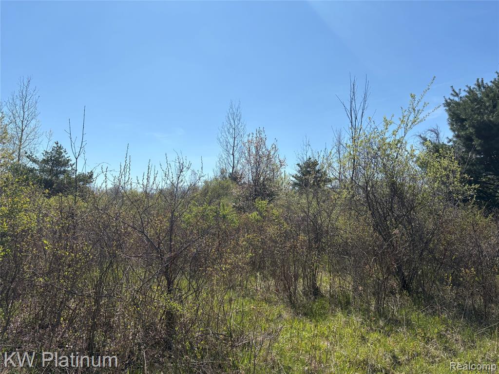 Parcel C Wicha Drive, Burtchville, MI 48059 — Photo 20