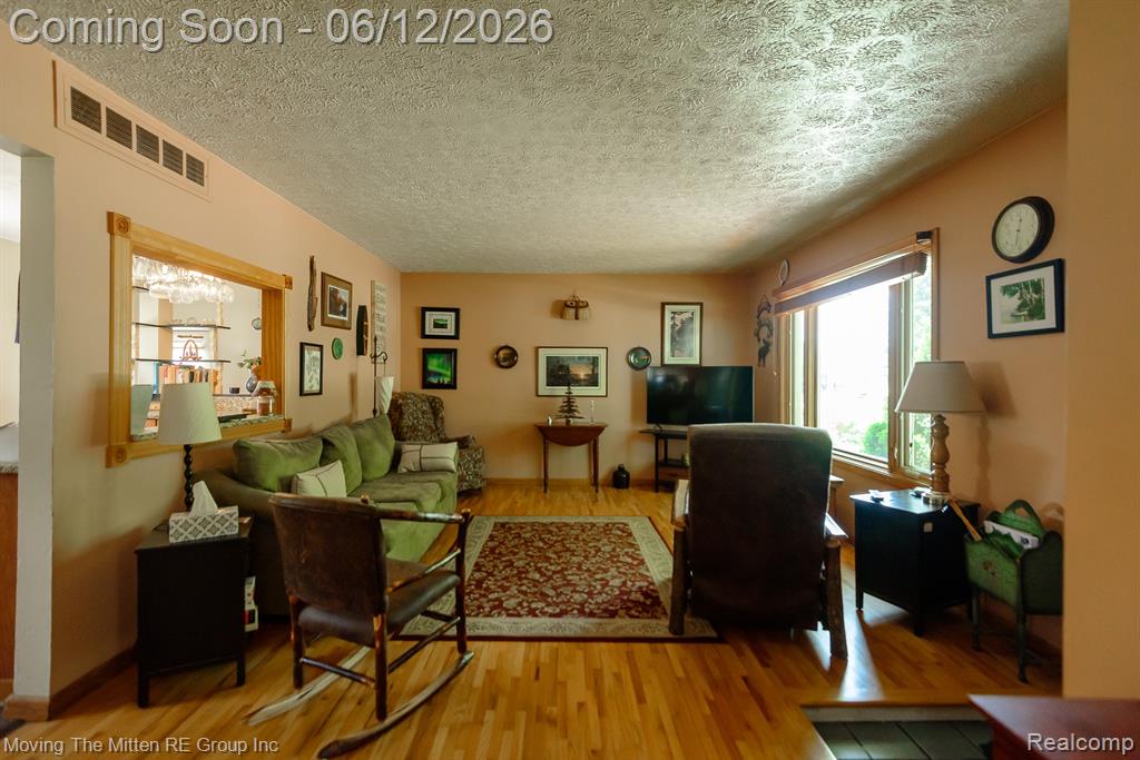 9853 Hamilton Street, Belleville, MI 48111 — Photo 3
