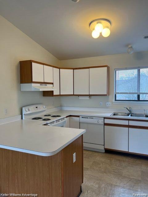 42672 LILLEY POINTE Drive, Canton, MI 48187 — Photo 3