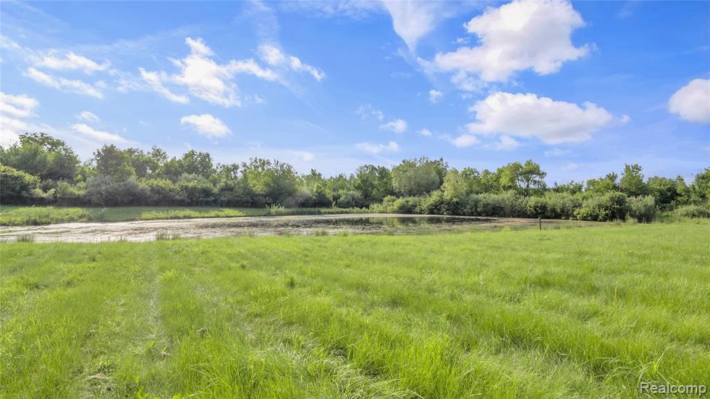 5050 Burton Road, Capac, MI 48014 — Photo 62