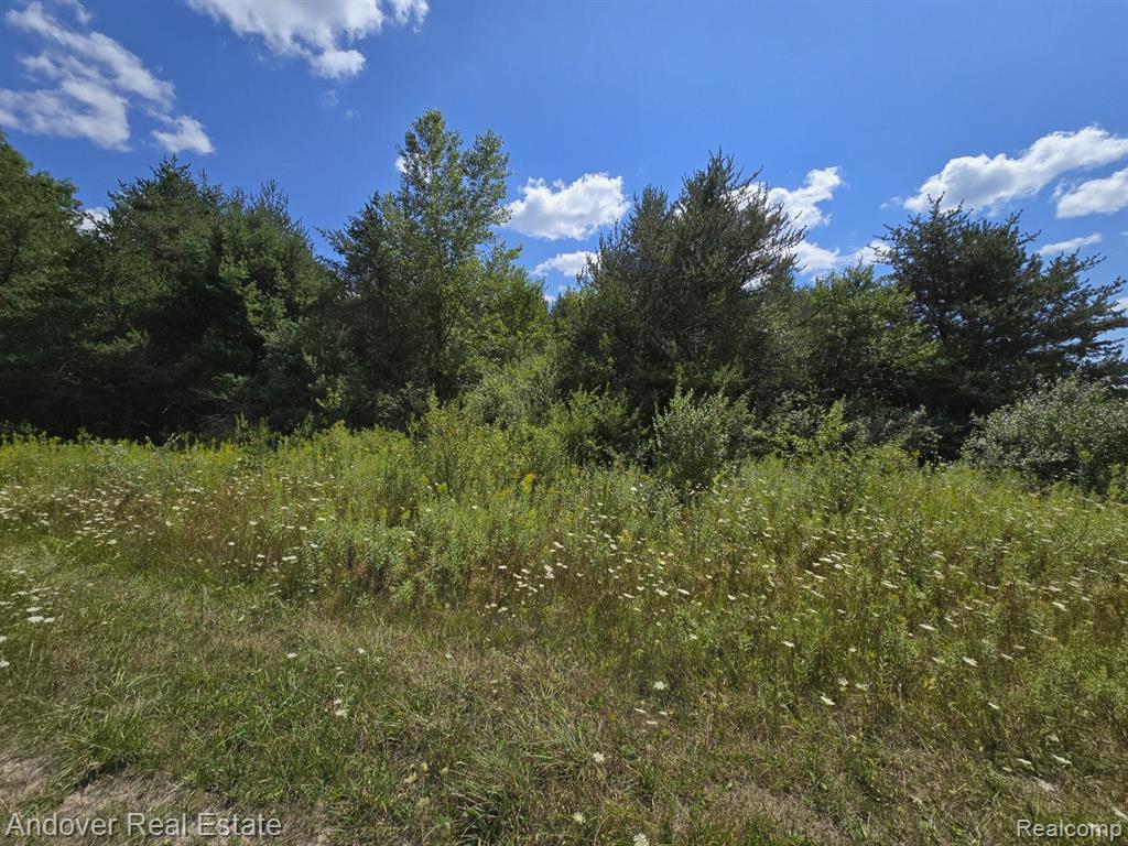 Leckrone Rd Parcel A, Brethren, MI 49619 — Photo 8