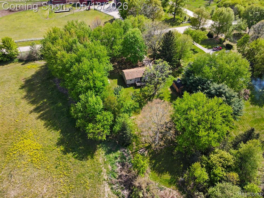 4623 Lovejoy Road, Byron, MI 48418 — Photo 2