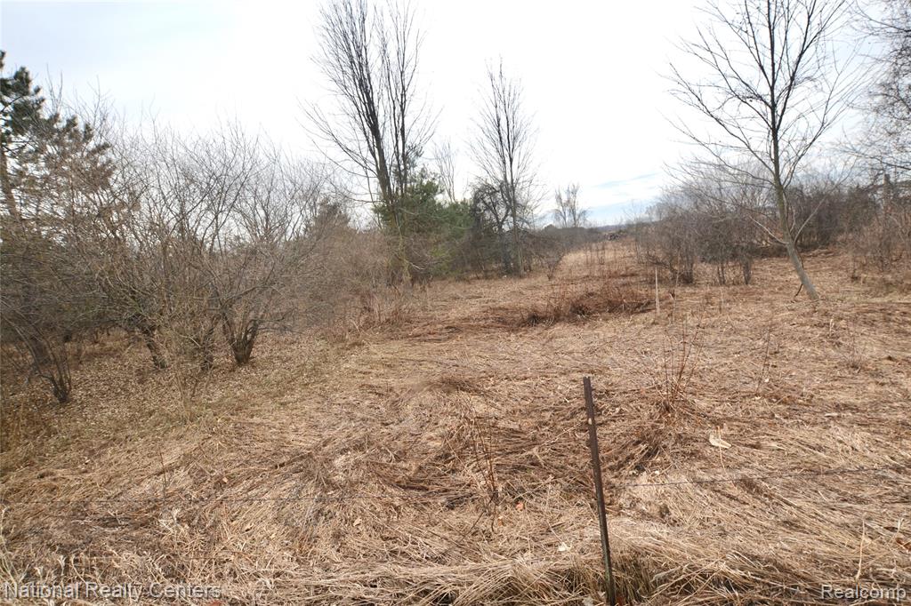 3088 7 Mile Road, Evart, MI 49631 — Photo 21