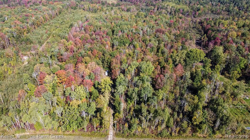 905 E M 61 Highway, Gladwin, MI 48624 — Photo 6