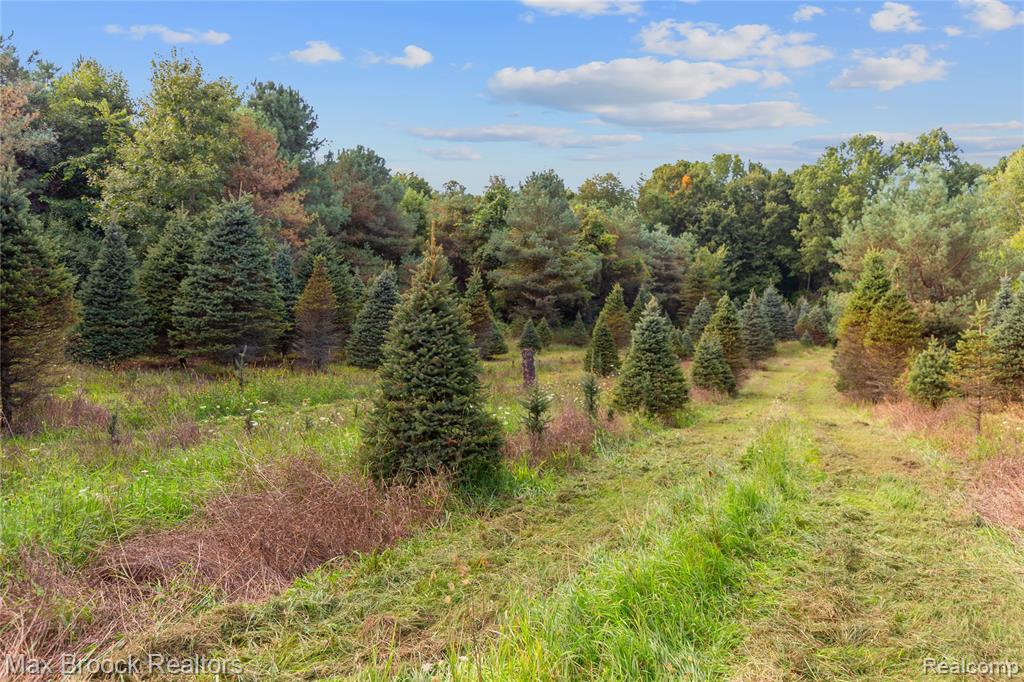 4700 Stanley Road, Columbiaville, MI 48421 — Photo 80