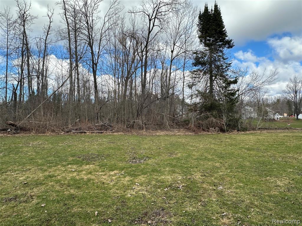 7726 Lake Street, Alanson, MI 49706 — Photo 65