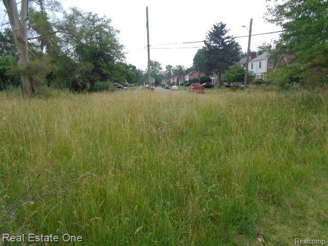 18553 JAMES COUZENS, Detroit, MI 48235 — Photo 6