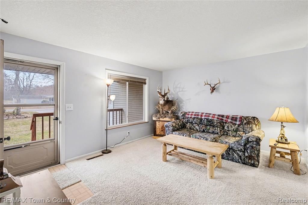6360 W Frances Road, Clio, MI 48420 — Photo 5