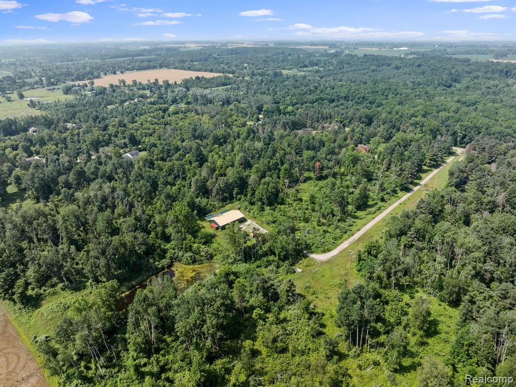 6865 Kaitlyn Dr., Lexington, MI 48450 — Photo 4