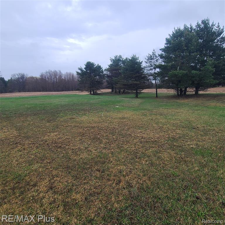 7931 Clear Lake Road, Brown, MI 48416 — Photo 10