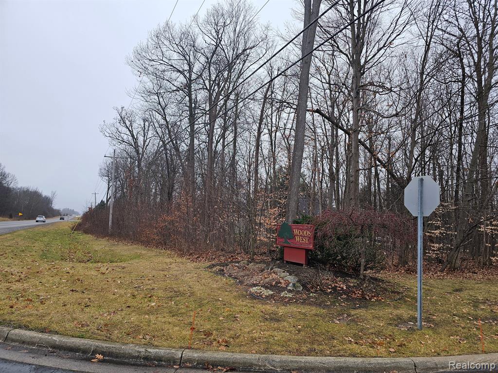 2291 WOODS WEST Drive, Flushing, MI 48433 — Photo 16
