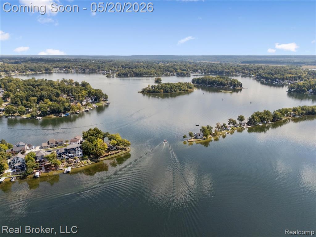 16295 Whitehead Drive, Linden, MI 48451 — Photo 59