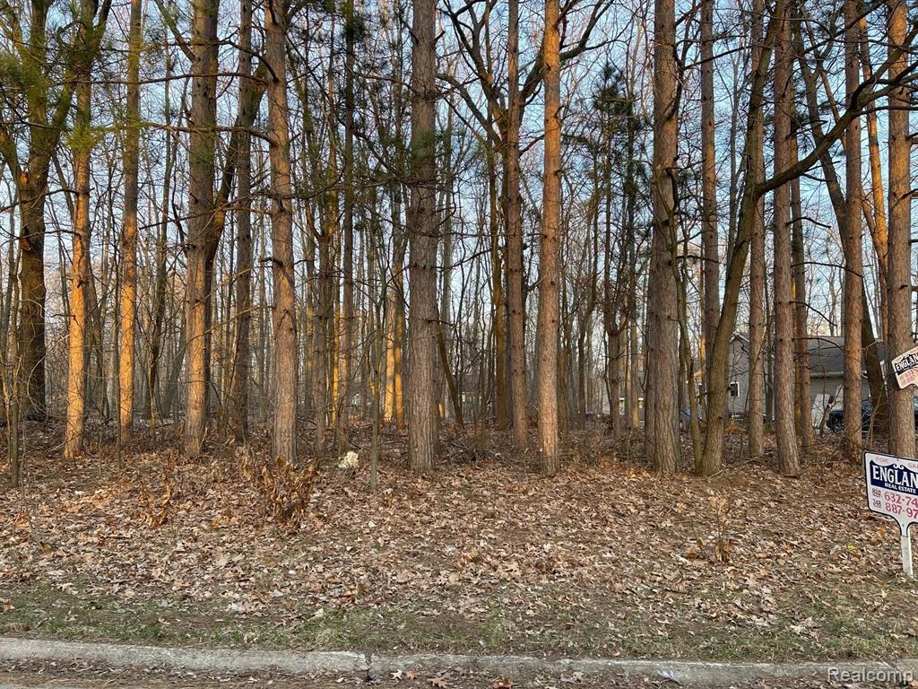 9127 Pineview Lake, Linden, MI 48451 — Photo 2