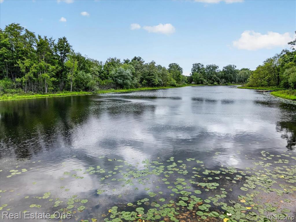 425 Courtney Road, Leonard, MI 48367 — Photo 84