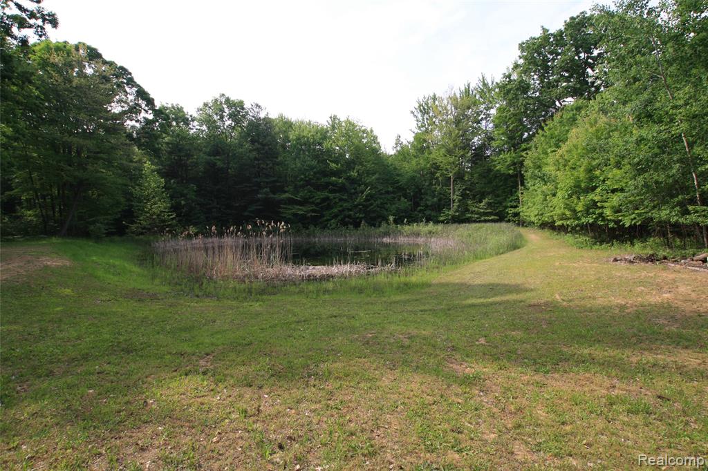 12850 East Road, Burt, MI 48417 — Photo 12