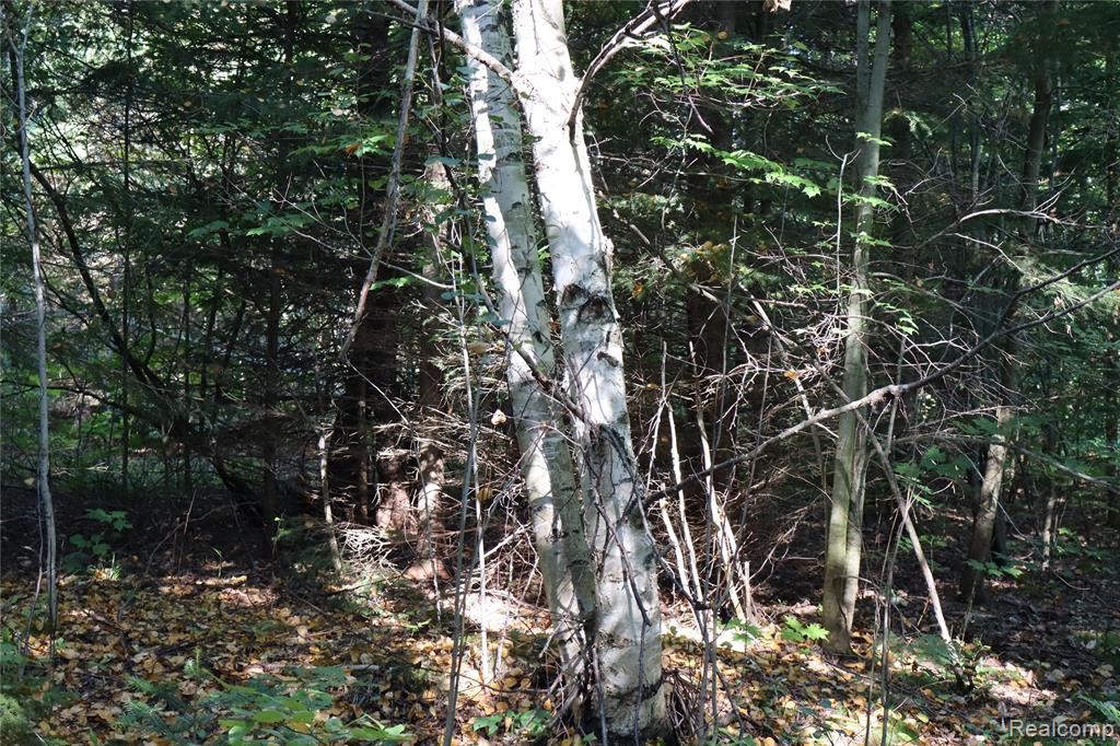 Lot D W Pendills Lake Road, Brimley, MI 49715 — Photo 38
